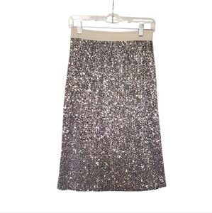 ZARA Basic Women's Silver Sequin Skirt  White Elastic Waistband lined Size XS